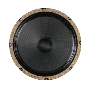 10" Retro 10 - 60 watts