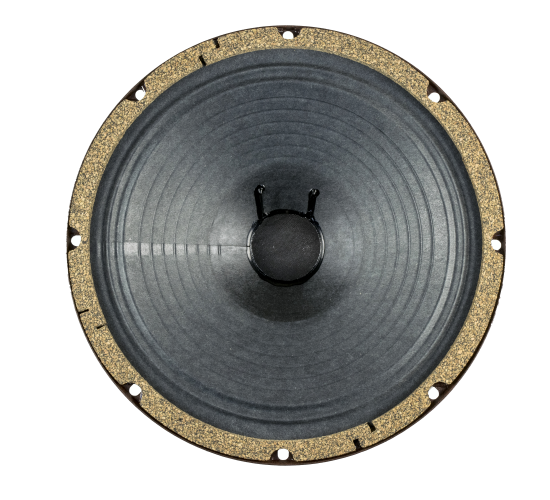 10” G10A - 75 watts