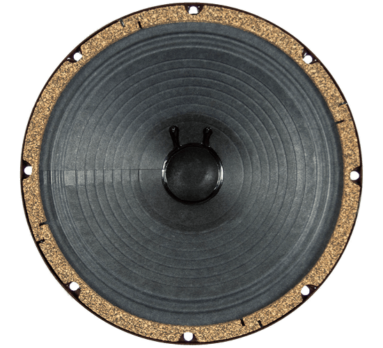 10” G10C - 75 watts