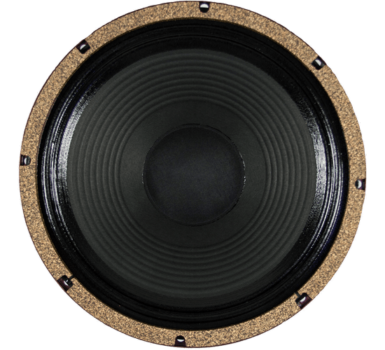 12" BlackHawk HP alnico - 100 watts