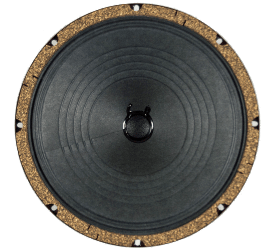 10" Veteran - 20 Watts