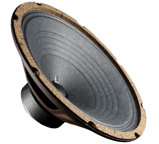 10" Veteran - 20 Watts