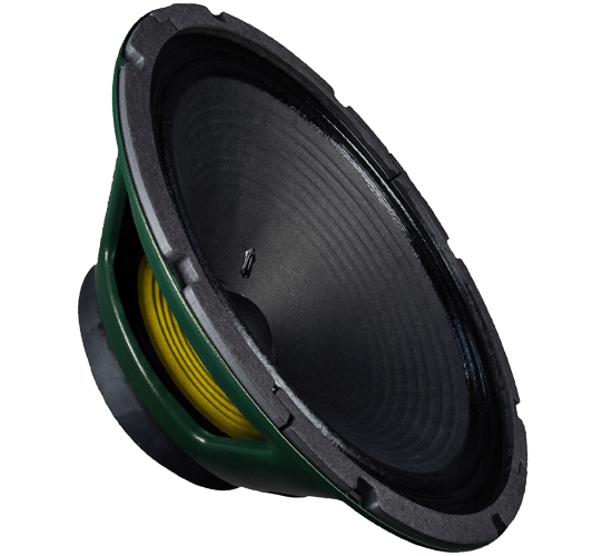 12" Green Beret - 25 watts