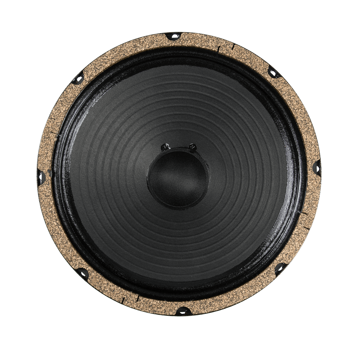 10" Retro 10 - 60 watts